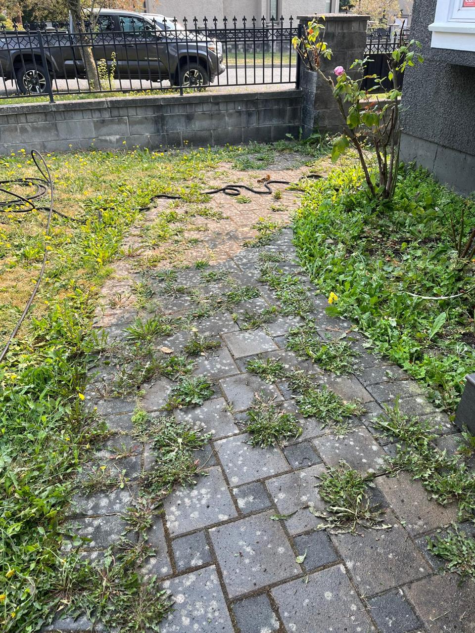 Pressure Washing before